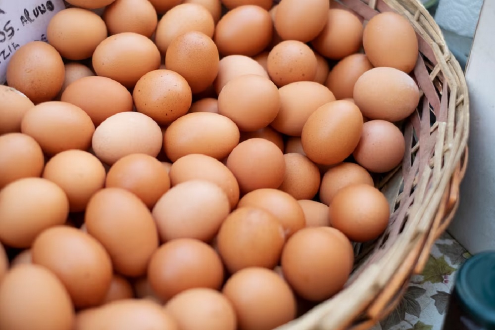 Telur